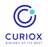 Logo-Curiox-footer